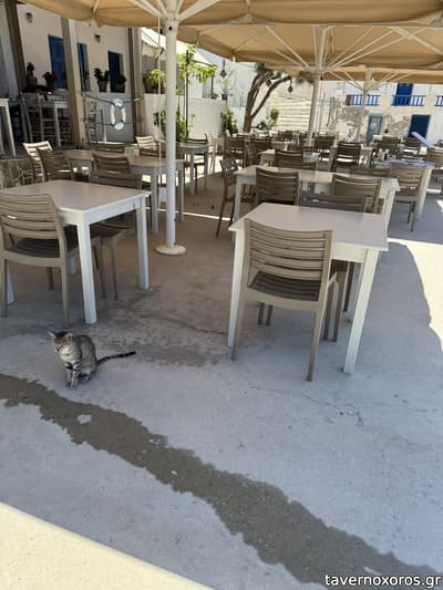 [εικόνα]