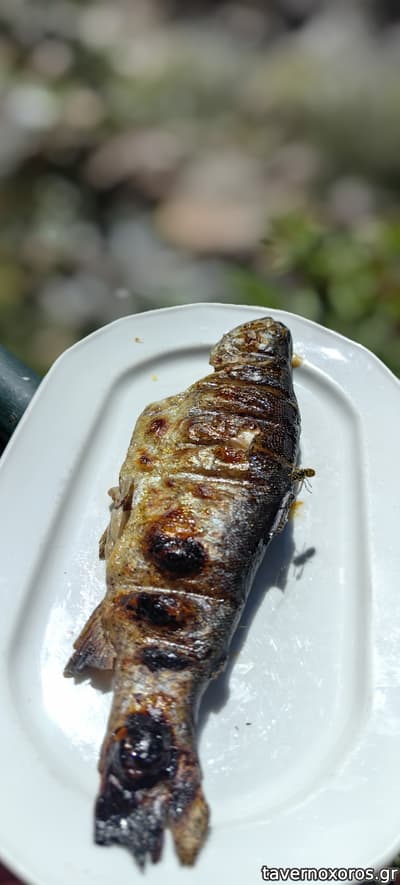 [εικόνα]