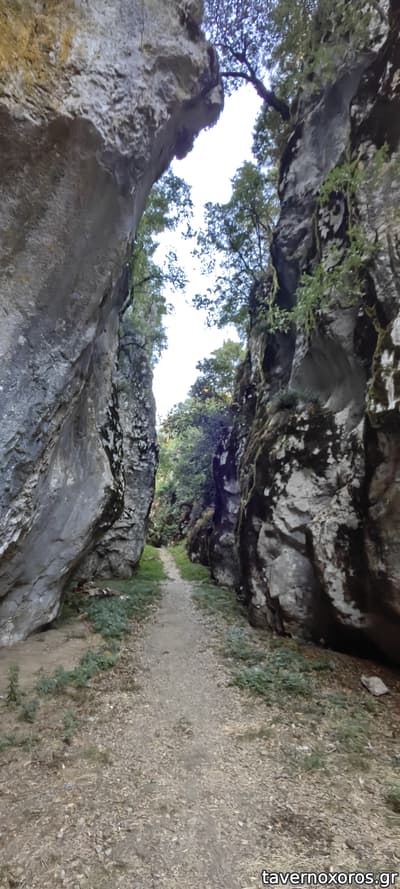 [εικόνα]