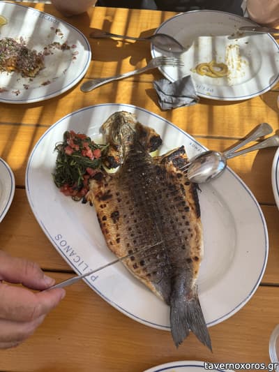 [εικόνα]
