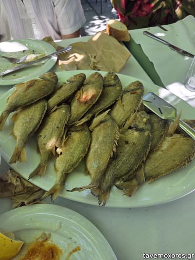 [εικόνα]