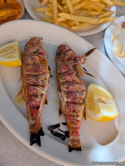 [εικόνα]