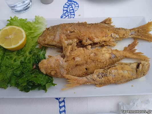 [εικόνα]