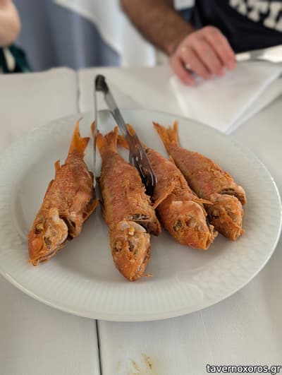 [εικόνα]