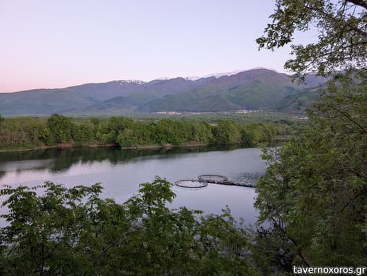 [εικόνα]