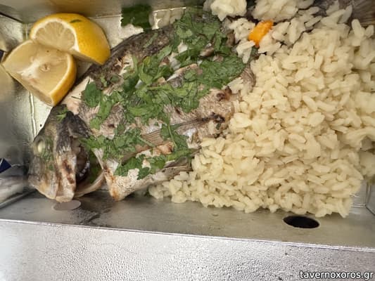 [εικόνα]