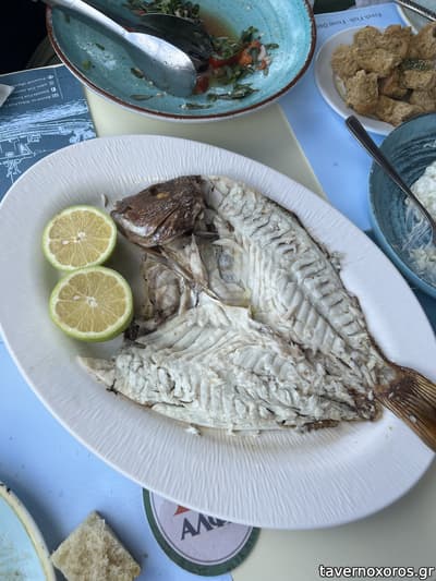[εικόνα]