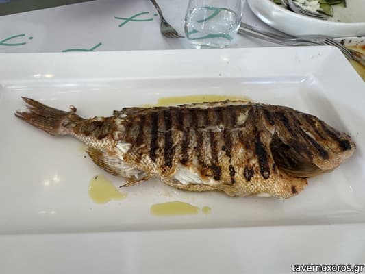 [εικόνα]
