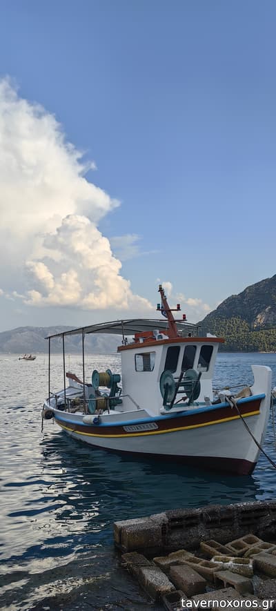 [εικόνα]