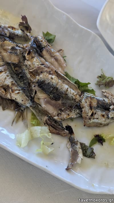 [εικόνα]