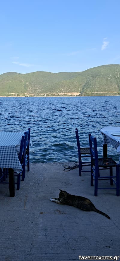[εικόνα]