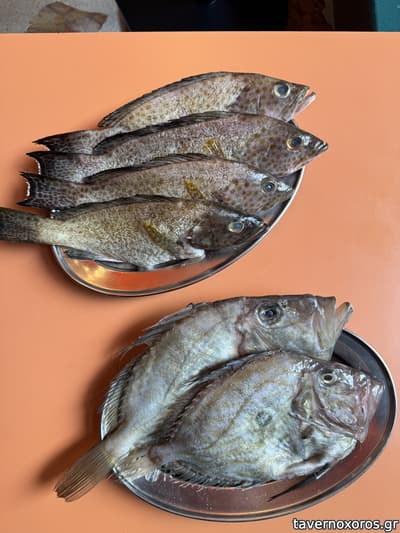 [εικόνα]