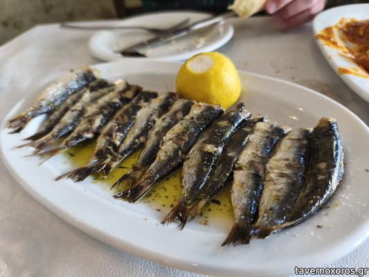 [εικόνα]