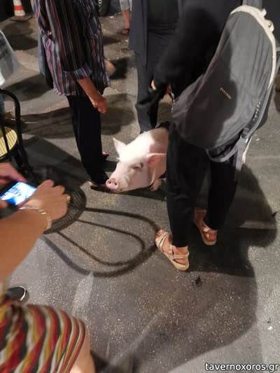 [εικόνα]