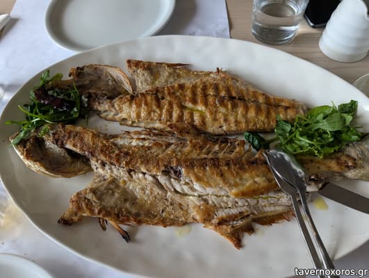 [εικόνα]